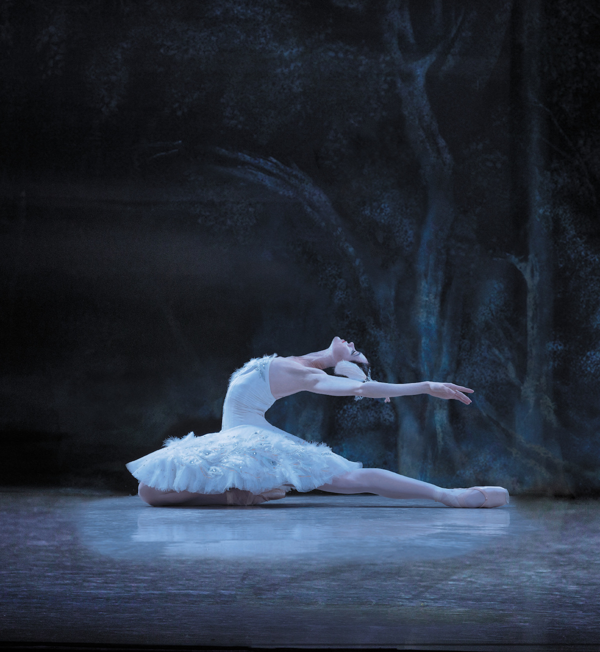 Los Angeles Ballet's "Swan Lake". Photo by Reed Hutchinson.