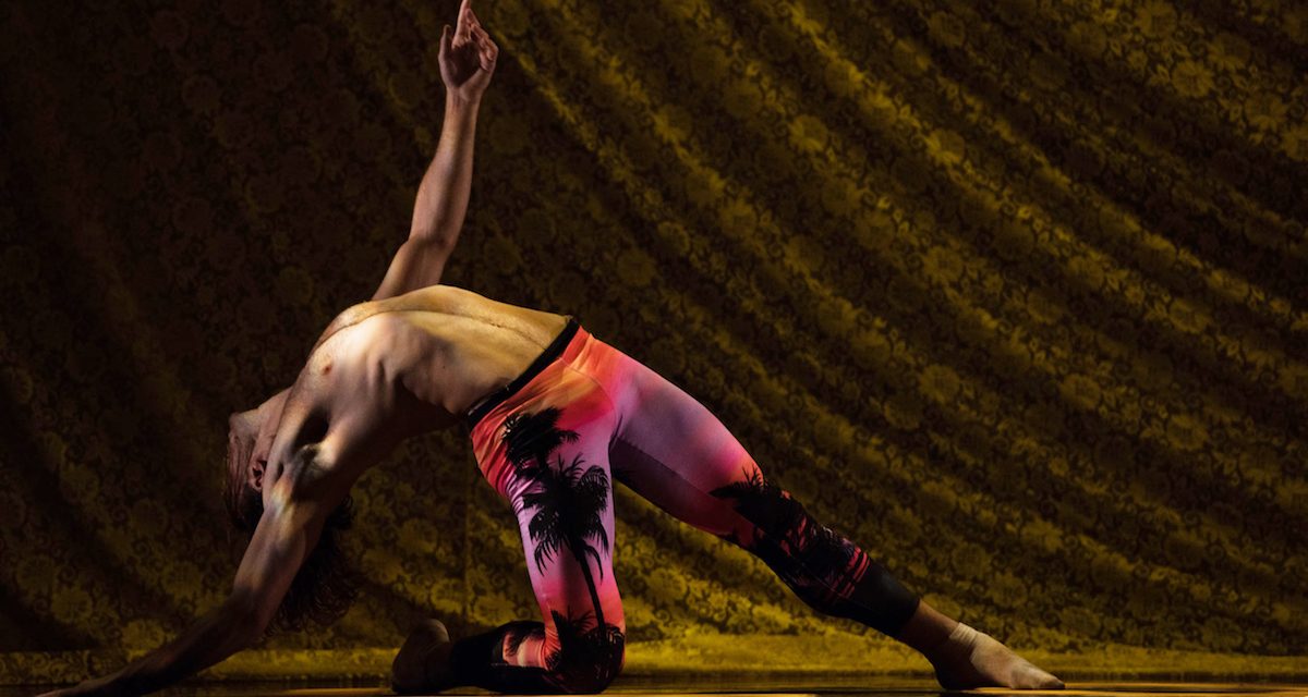 The Wallis Makes Big News with an all LA Based Dance Company Lineup for 2019/2020