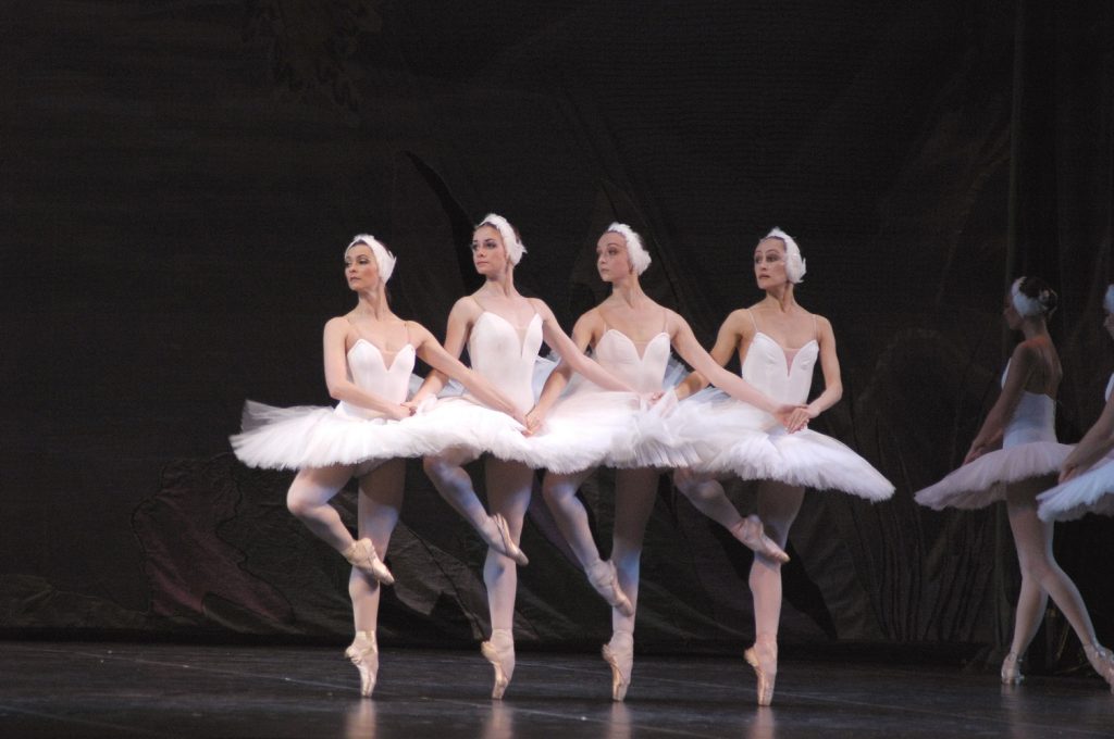 Swan Lakeresized