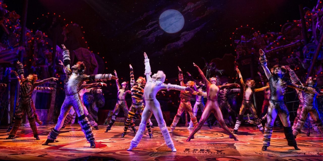 Meowch! The New National tour of Cats