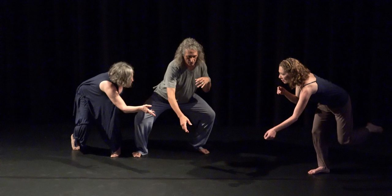 SOMAfest  emBODYment Performances: a shared journey inward