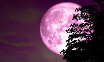 FULL PINK MOON: Opera Povera from Quarantine – A Worldwide Fundraising Live Stream of Pauline Oliveros’s Open Form Opera