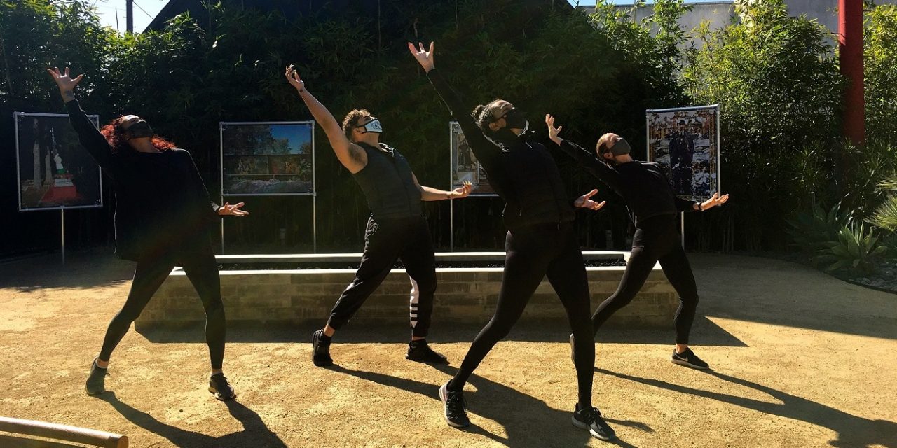 Donna Sternberg & Dancers Announces 2 New Virtual Performances!