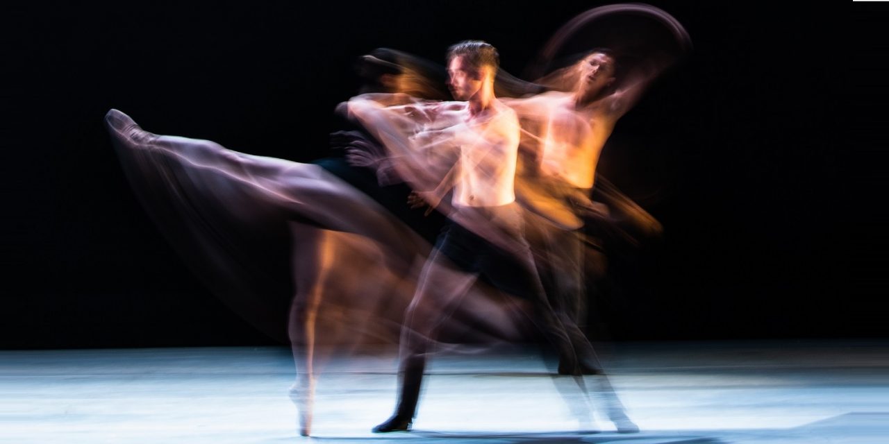 Barak Ballet To Present Virtual Fall Gala on November 21st