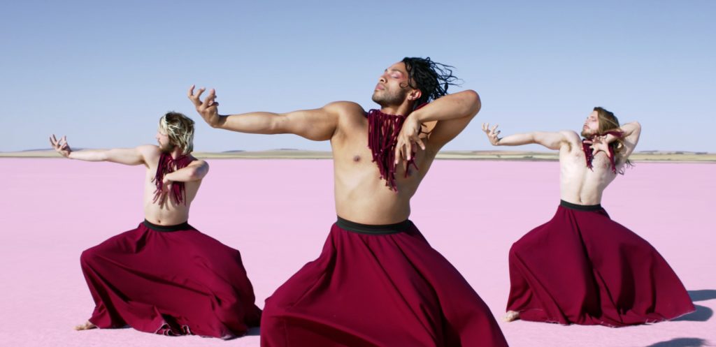 The Circadian Cycle - Image courtesy of Dance Camera West