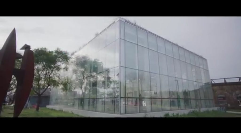 BEING - Directed by Destito and Augustina Videla - Screenshot by LADC