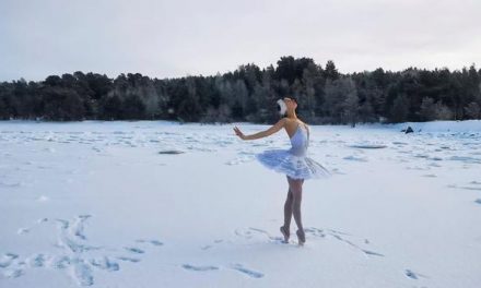 Swan Lake Petitions Putin