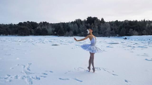 Swan Lake Petitions Putin