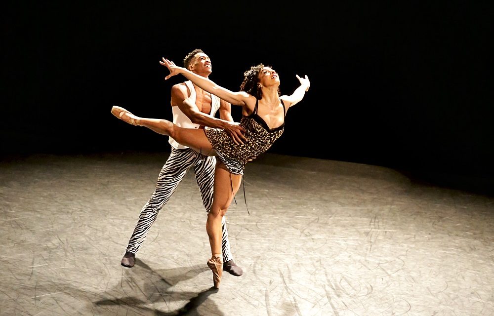 Complexions Contemporary Ballet Brings Rockabilly to Ballet with “Gather Round”