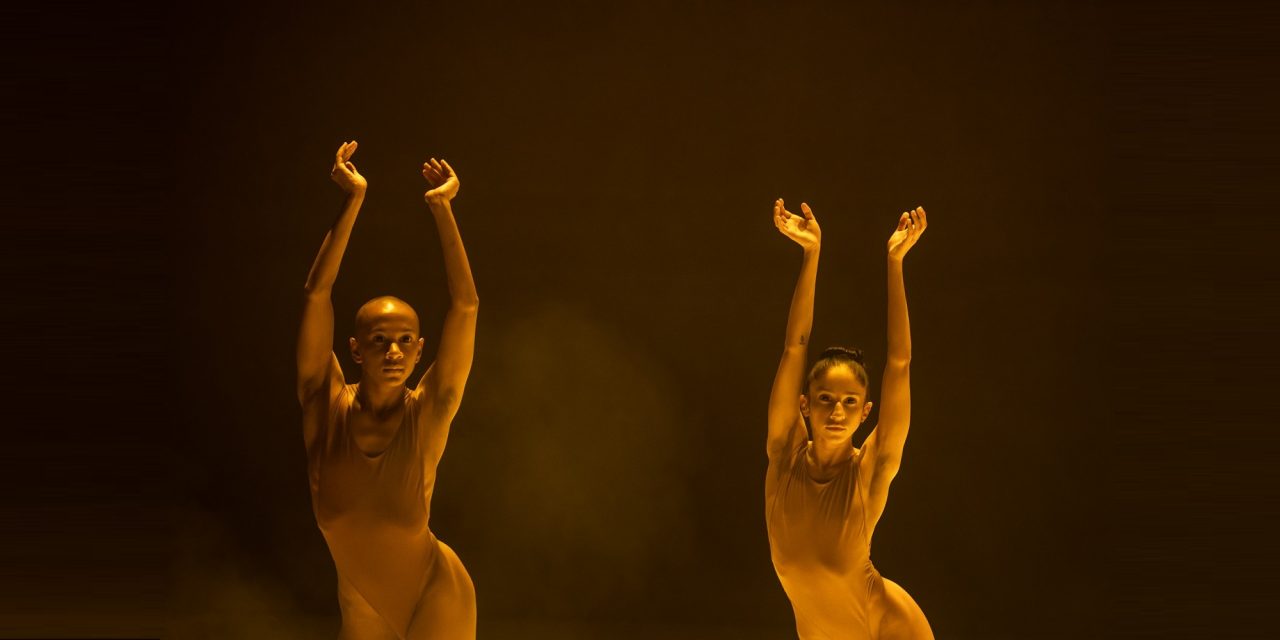 Women/Create! A Virtual Festival of Dance in partnership with New York Live Arts.