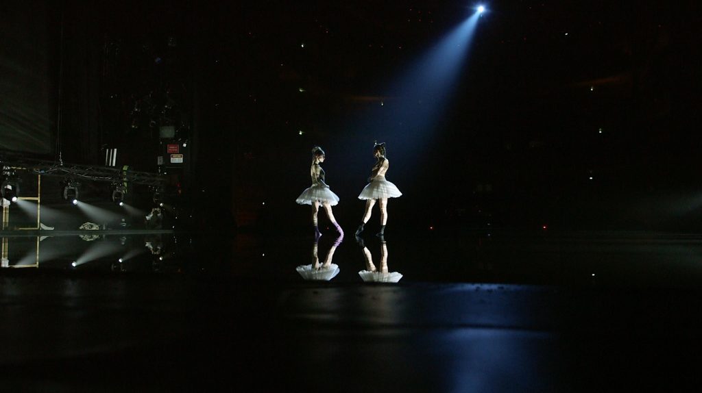 Rare Birds A Swan Lake rehearsal - Photo by T.M. Rives