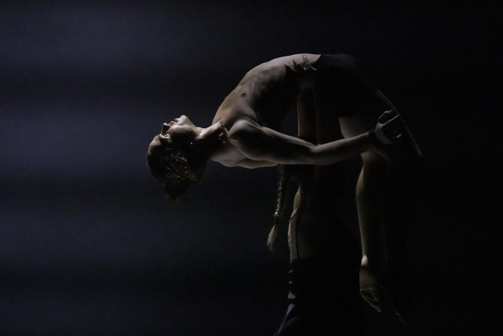 Jarrod Takle in "Sacre" by Circa - Photo by Pedro Greig