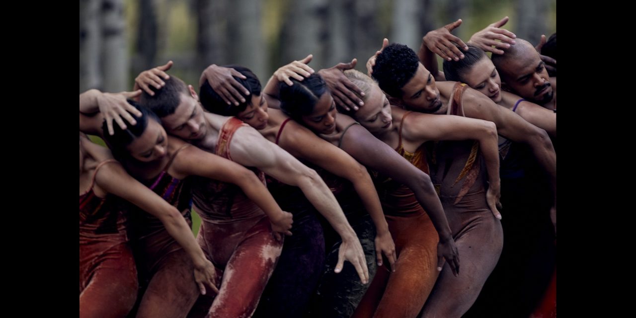 Interview with Dante Puleio, Artistic Director of José Limón Dance Company