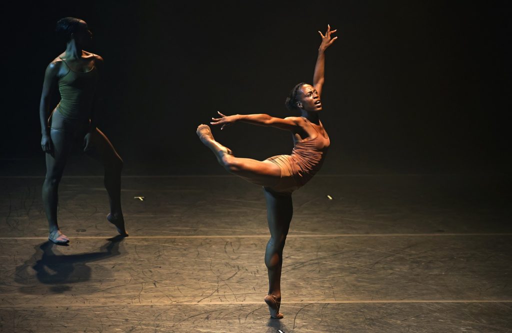 Complexions Contemporary Ballet in Dwight Rhoden's "Hissy Fits" - Photo by Karen Tapia/Musco Center for the Arts