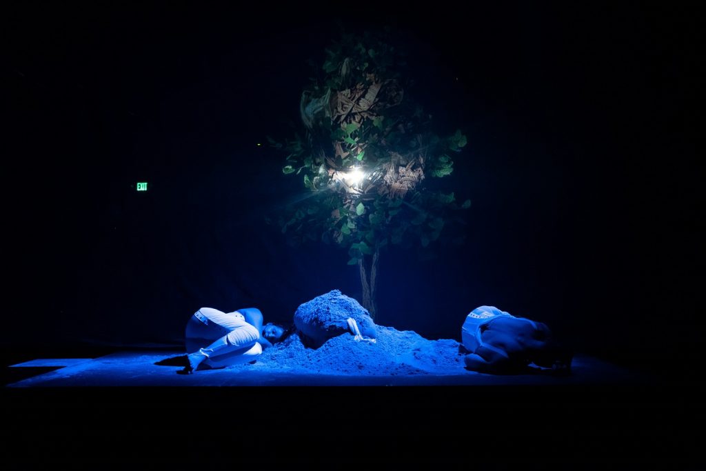 MUXX Project - BIGUIDIRIBELA - Fulcrum Festival - Photo by Christopher Wormald (Fulcrum Arts)