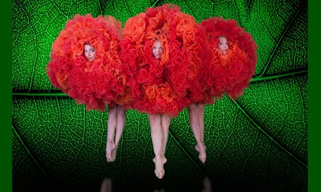 Whimsy Returns to Musco Center in “Alice” by Momix
