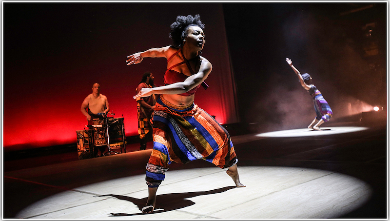 Step Afrika! Photo courtesy of the artists