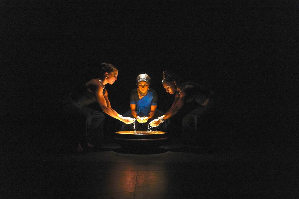 "Let the Crows Come" by Ashwini Ramaswamy - Photo by Jake Armour