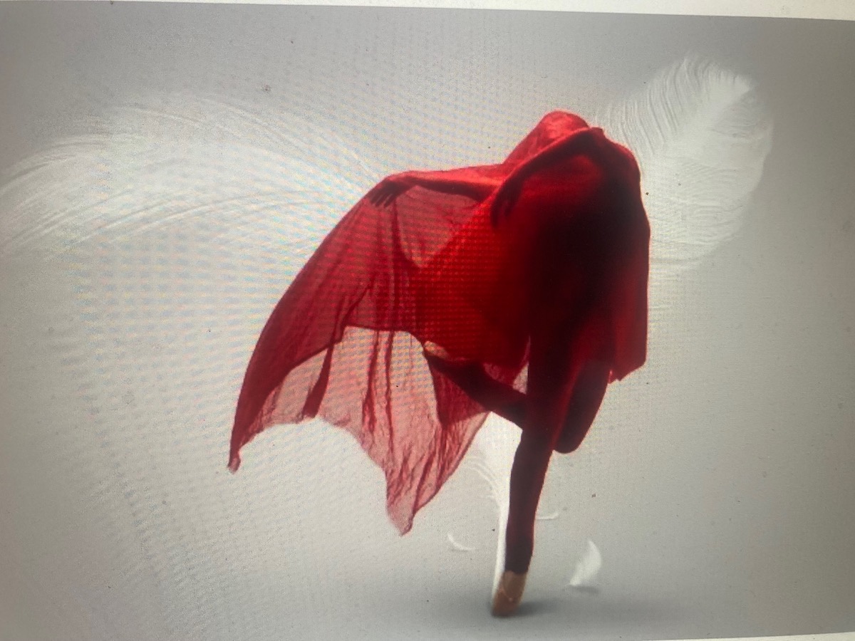 The White Feather: A Persian Ballet Tale. Photo courtesy of the artists