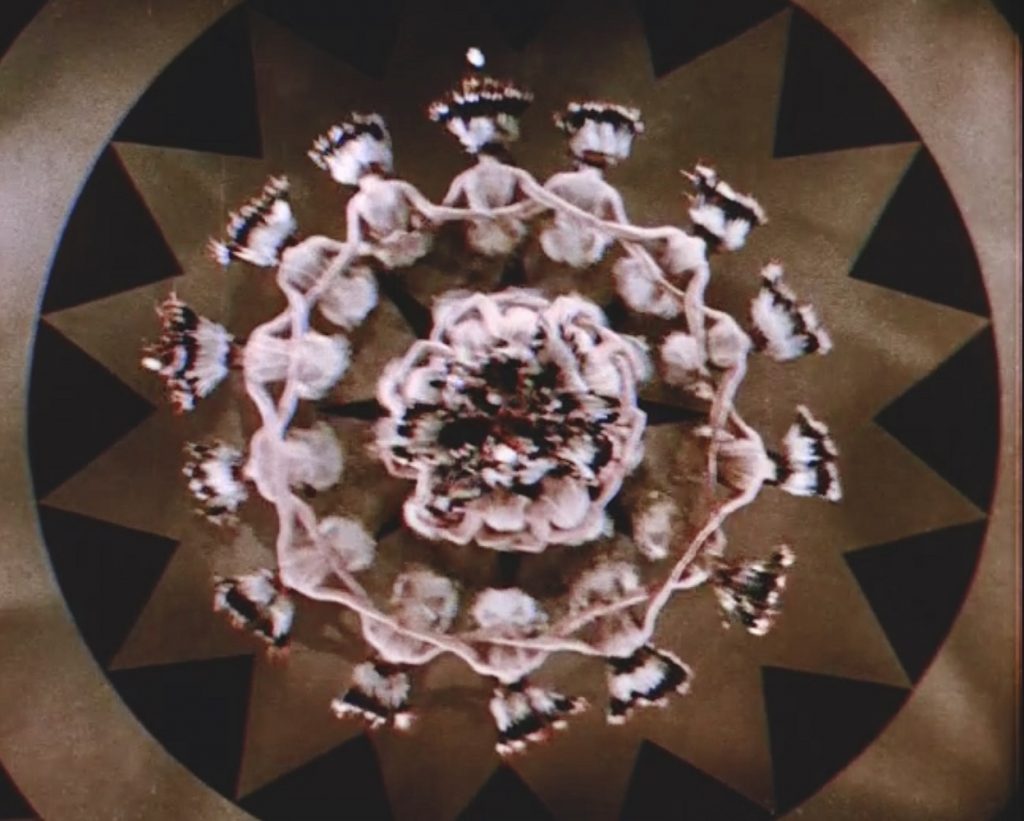 Top Shot of Goldwyn Girls in “Song of the Setting Sun” from Whoopee! 1930 (Courtesy of the author)