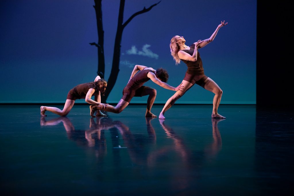 BrockusRED - Denali Huff, Jack Ironstone, Mara Hancock in Brockus' "Tree" - Photo by Denise Leitner