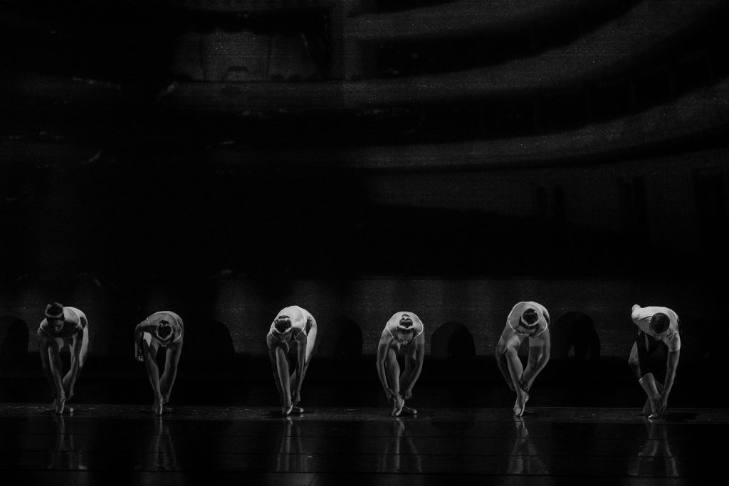 THE WHITE FEATHER - Photo by Bahareh Ritter.