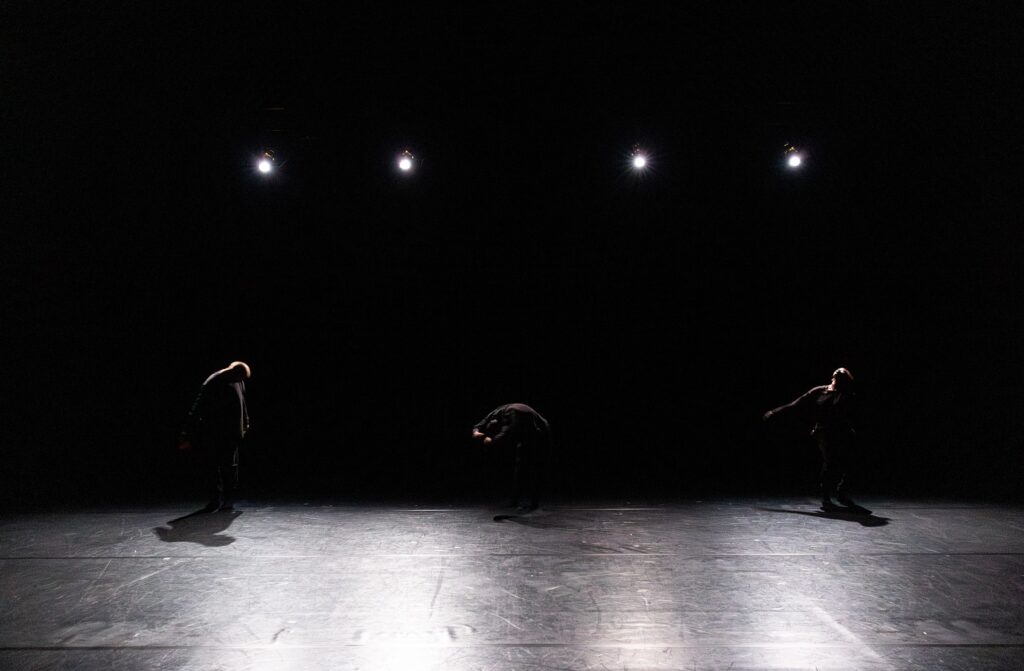 Members of Compagnie Nacera Belaza in "L'Onde" by Nacera Belaza - Photo by Angel Origgi