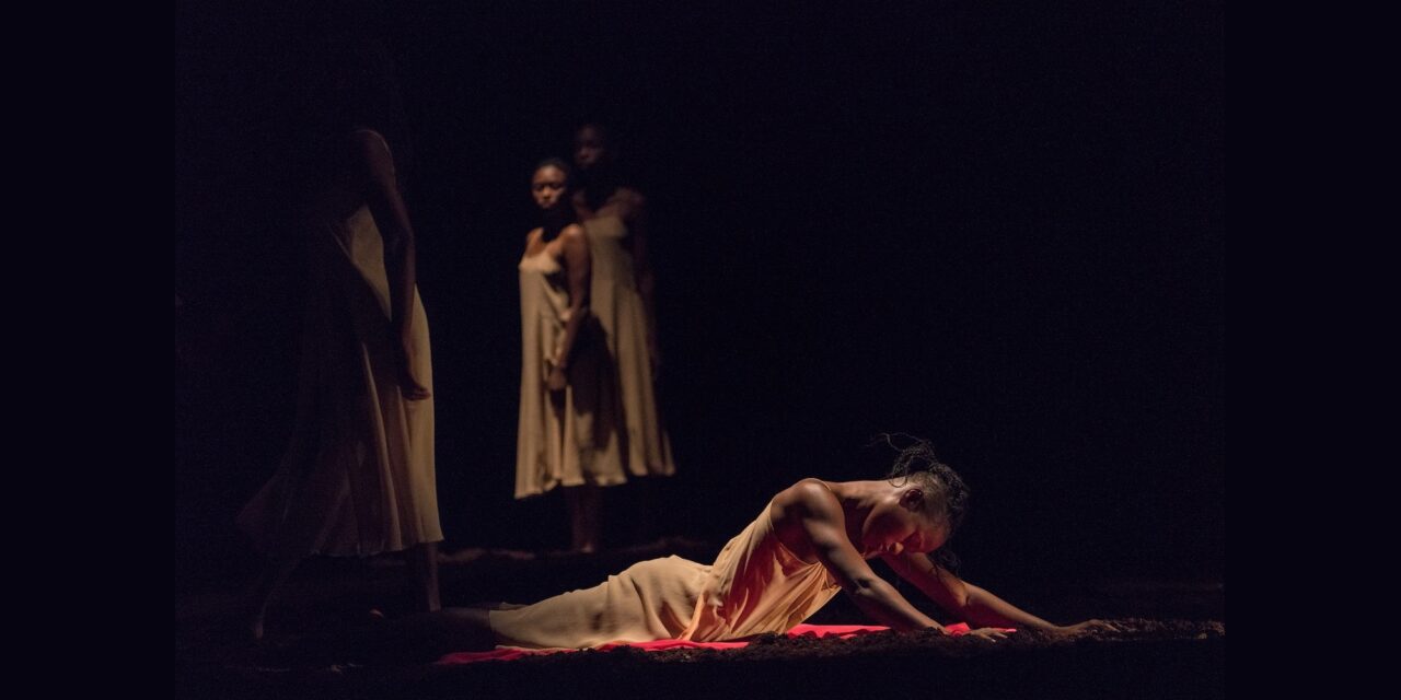 African Rite of Spring, A Stunning Revelation