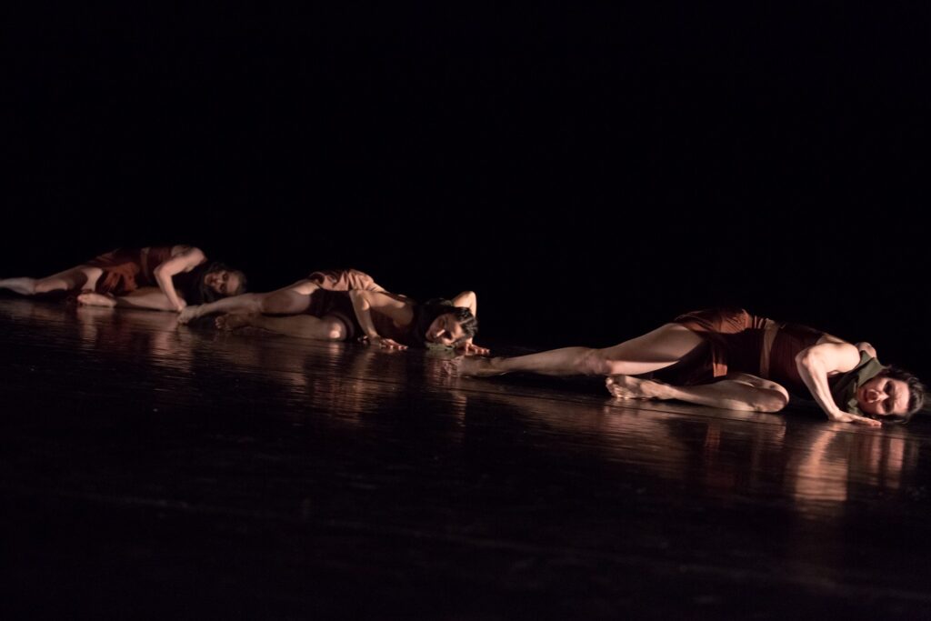 NEDT in "Landscapes" by Nancy Evans Doede - Photo by Ayame Orlans.