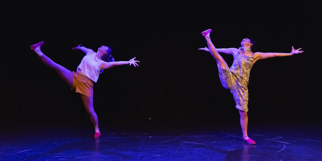 MixMatch Festival - Megill & Company in Odd Birds by Beth Megill - Photo by Skye Schmidt Varga.