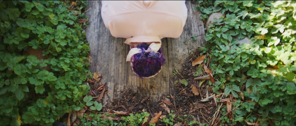 DCW - VISIBILITY SELF REFLECTIONS - "earthworm" by Lane Michael Stanley - Still courtesy of DCW.