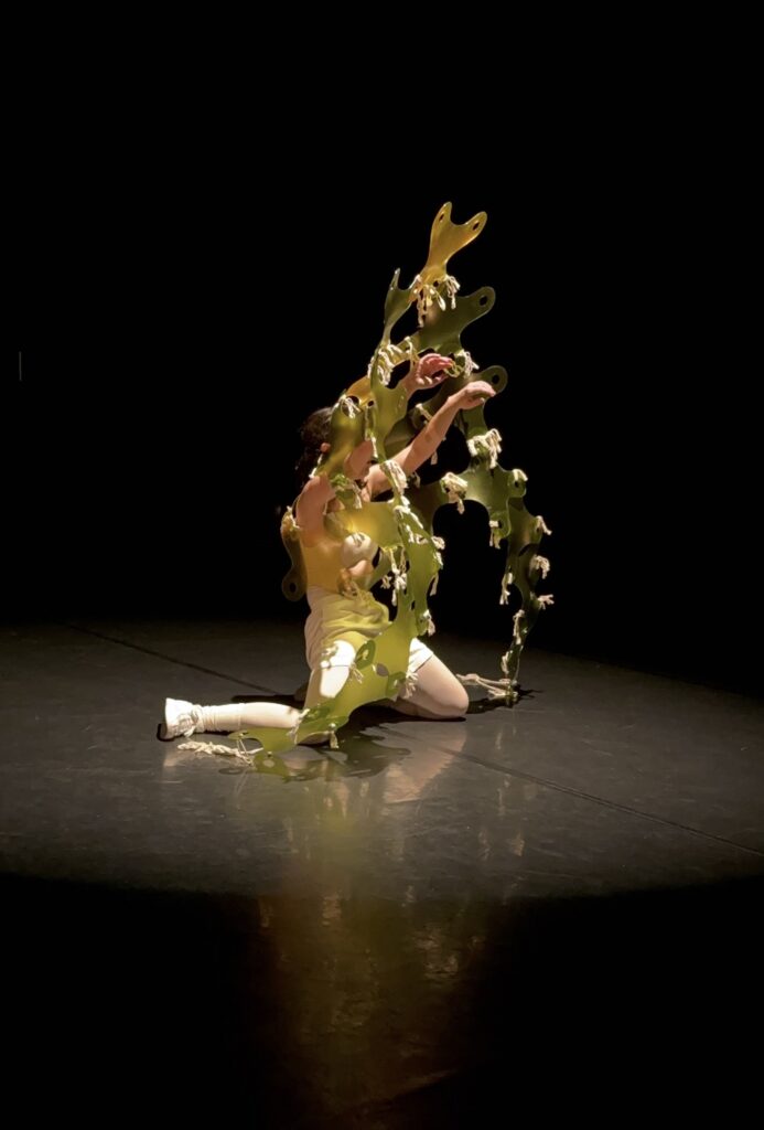 New Shoes 2025 - Melissa Younker in her solo "Elytra" - Photo by Patrick Kennelly.