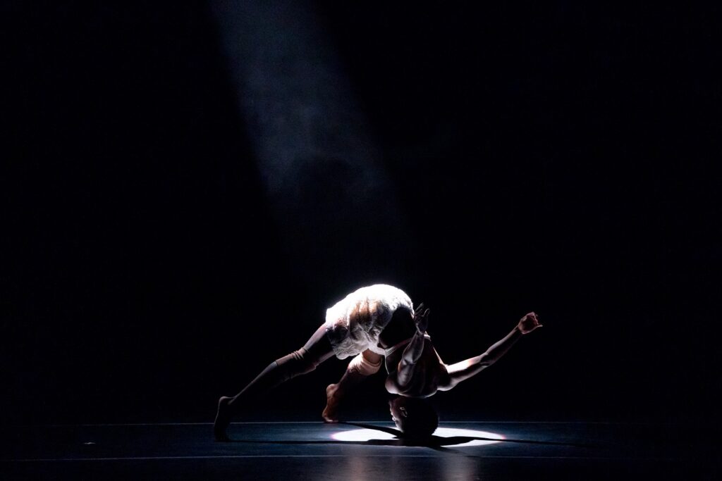 A.I.M by Kyle Abraham - "Shell of A Shell of The Shell" by Rena Butler - Photo by Cheryl Mann.