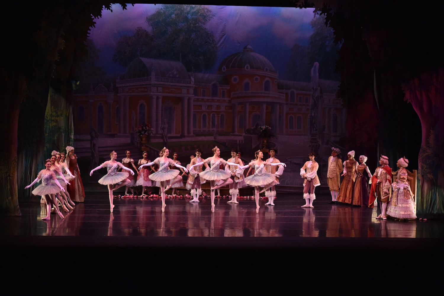 Festival Ballet. Photo courtesy of the artists
