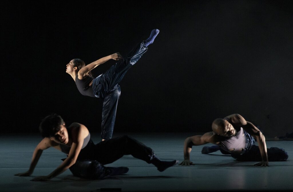  "InItsWake" by Steven Atwater and Thomas Ford- Photo by Rose Eichenbaum.