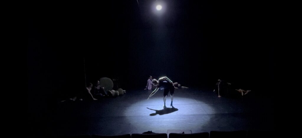Dance at the Odyssey - "An Ode To Bug" by Kaley Logan - Photo by Kaley Logan.