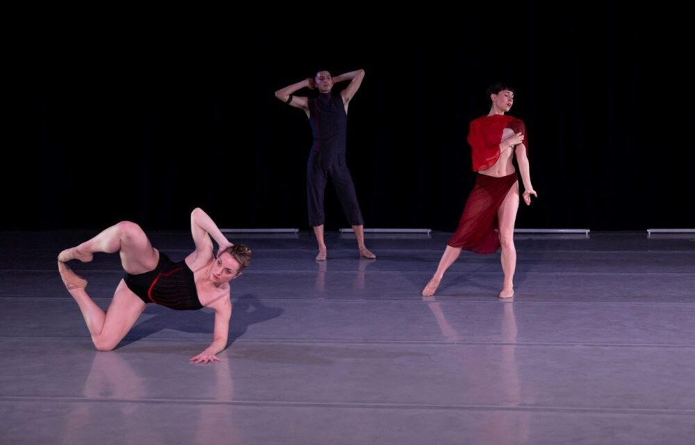 Laurie Sefton’s ‘How We Wear Our Art’ is her most collaborative work to date