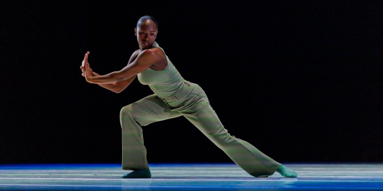 A.I.M by Kyle Abraham… the collective wonderfully stunning to watch