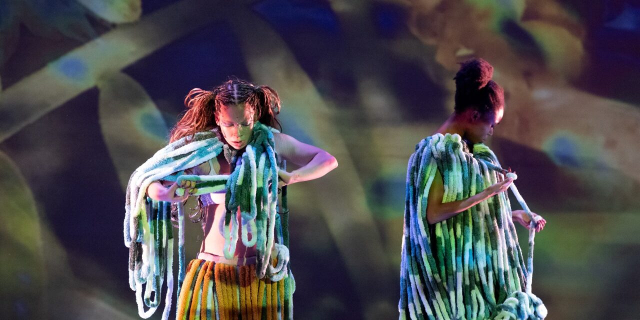 d. Sabela grimes “Parable of Portals”  – A Labor of Love