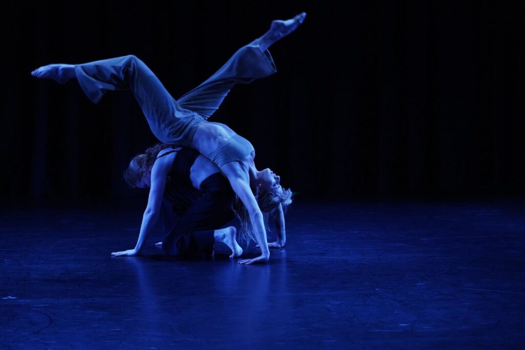 2023 - "still here" by Stephanie Mizrahi - Photo by Gregory M. Kasunich.