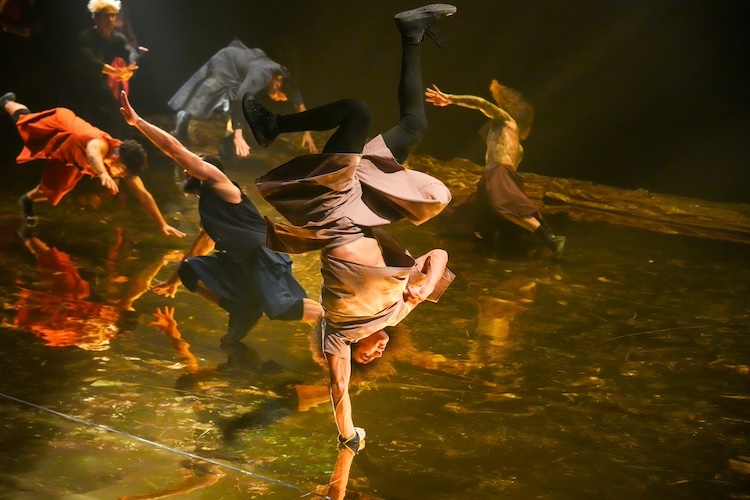 Compagnie Hervé Koubi - "SOL INVICTUS" - Photo by Steven Pisano.