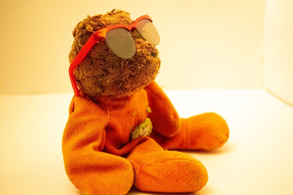 Teddy Bear that appears in "We Cool" - Photo by Kyreeana Breelin Alexander.