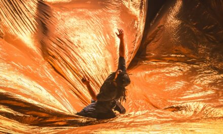 Compagnie Hervé Koubi and the Porosity of Dance