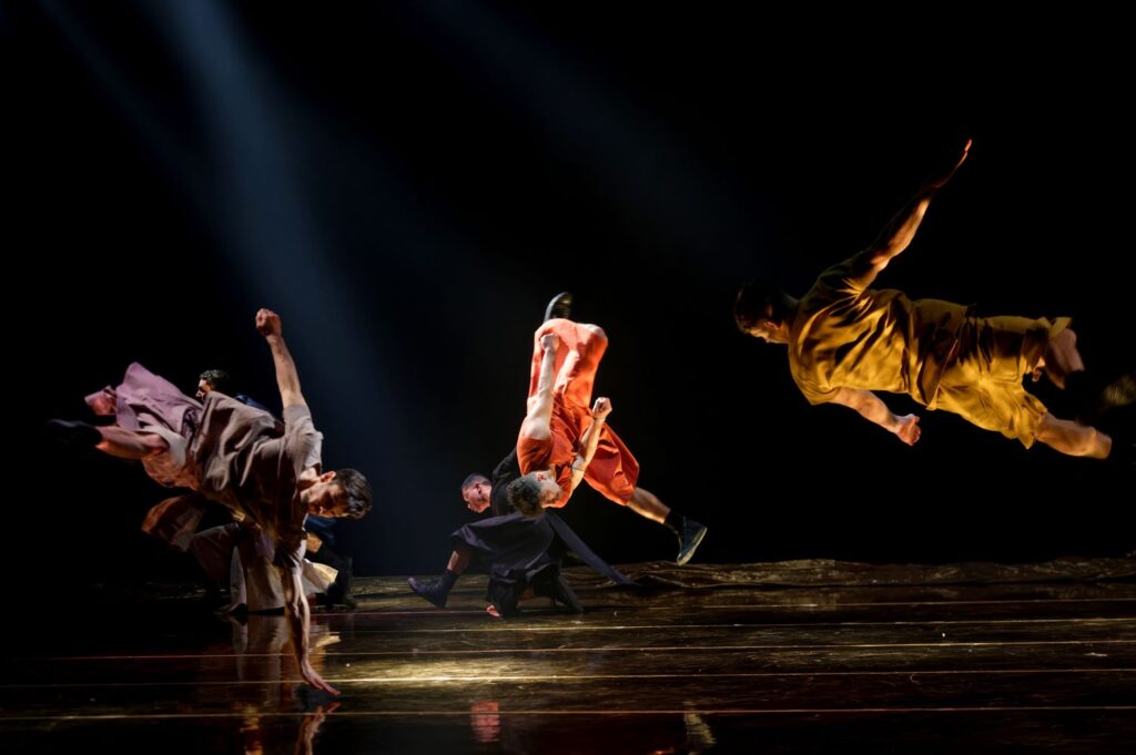 Compagnie Hervé Koubi in "Sol Invictus - Photo by Nathalie Sternalski.