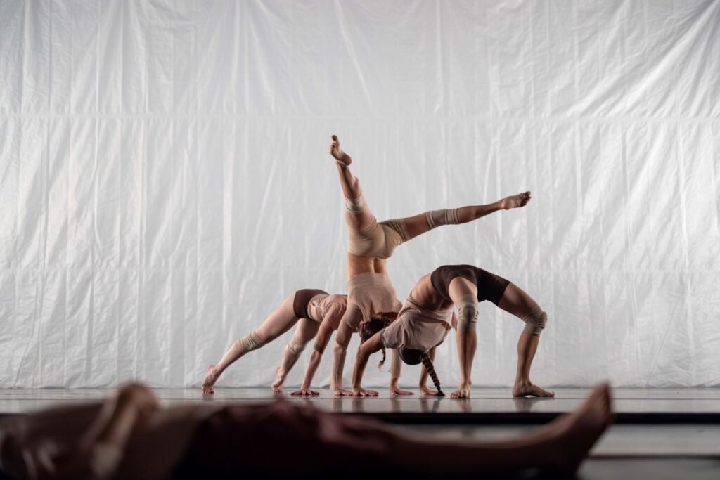 Jacob Jonas The Company - "Nature Sounds While The IV Drips" Choreography by Jacob Jonas - Photo by Joshua Geyer.