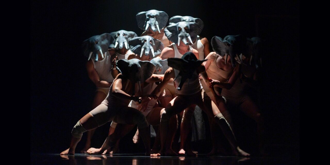 Review: Jacob Jonas The Company at the BroadStage