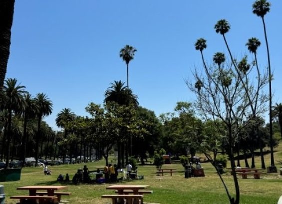 Elysian Park in Los Angeles. Photo courtesy of the park