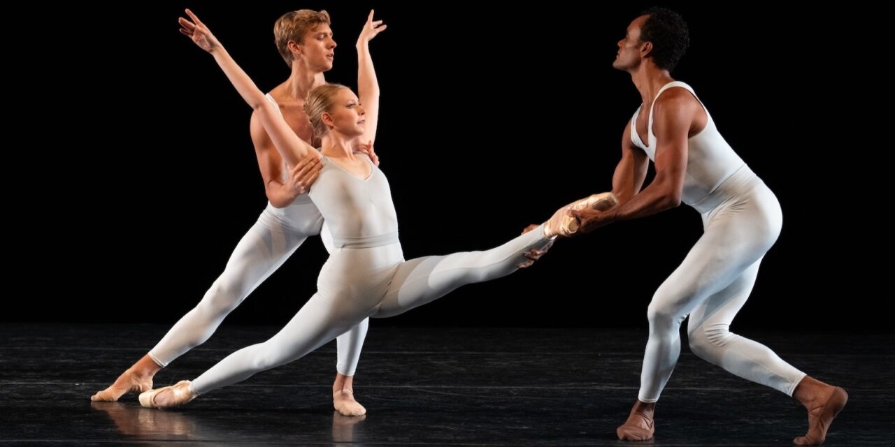 Putting a Fine Pointe on It