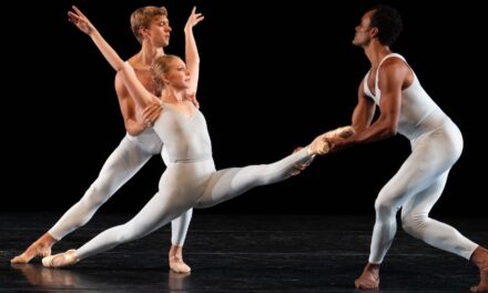 Putting a Fine Pointe on It